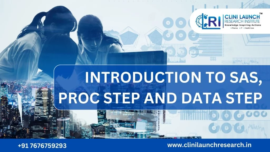 SAS proc step and data step