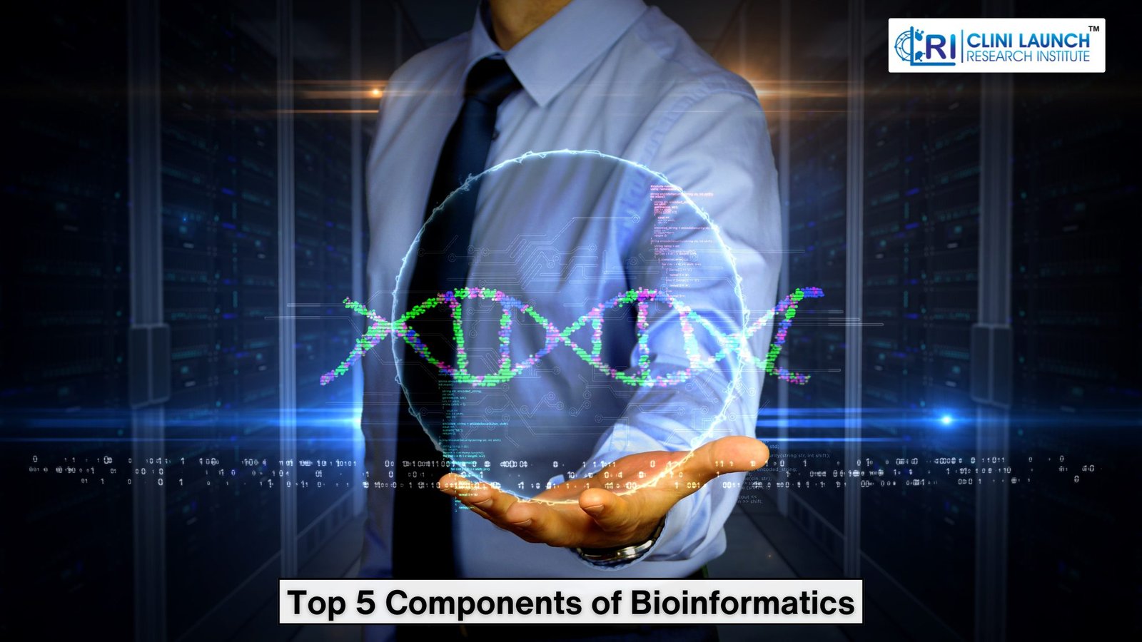 Components of Bioinformatics