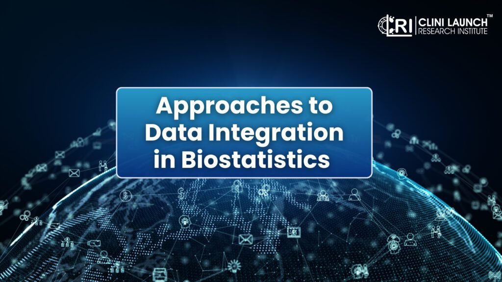 Approaches to data integration in Biostatistics