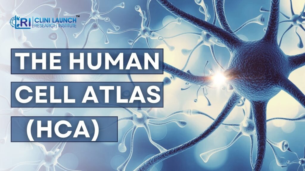 The Human Cell Atlas (HCA)
