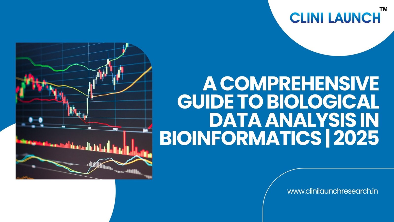 Interconnected network of DNA strands and data points, representing biological data analysis in bioinformatics.