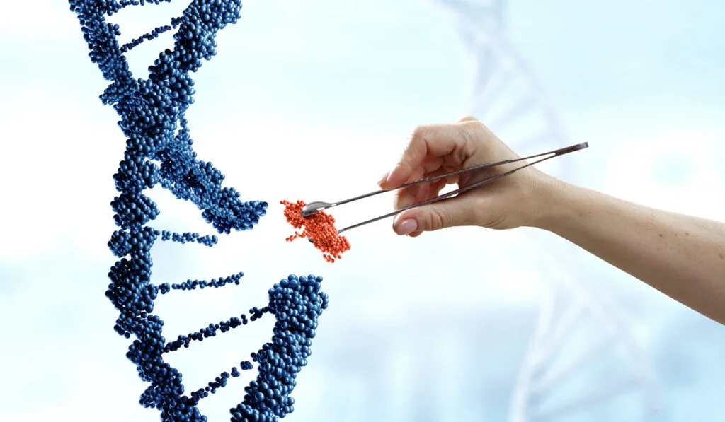 What is Functional Genomics in Healthcare and Why it Matters