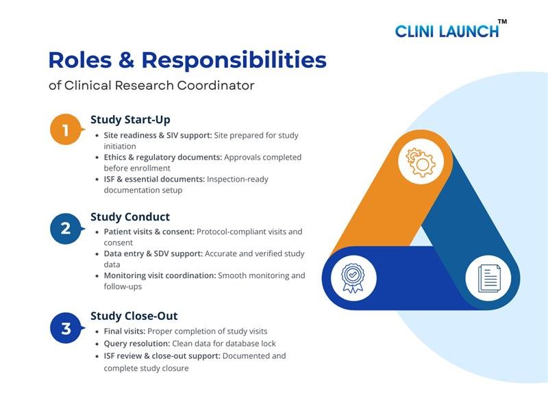 Clinical Research Coordinator Roles and Responsibilities