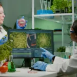 Precision Bioinformatics vs Traditional Bioinformatics: What’s the Difference? 